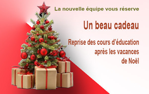 Joyeux Noël !