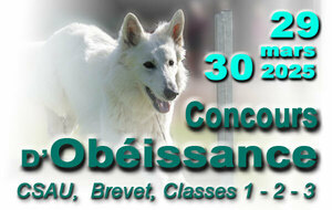 Concours d'obéissance