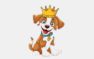 Tirage des Rois 2026