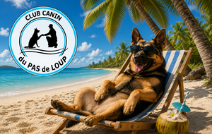Bonnes vacances