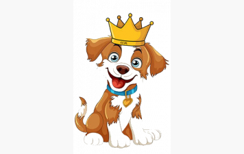 Tirage des Rois 2026