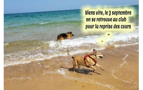 C'est la reprise
