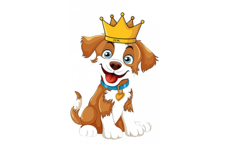 Tirage des Rois 2026