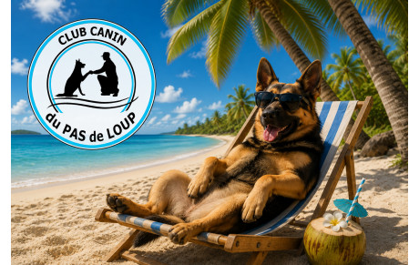 Bonnes vacances